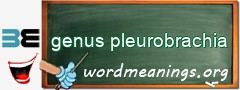 WordMeaning blackboard for genus pleurobrachia